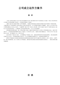 公司成立运营计划书