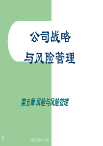 公司战略与风险管理课件(第五章)