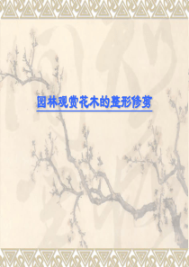 园林树木修剪2016.10.27