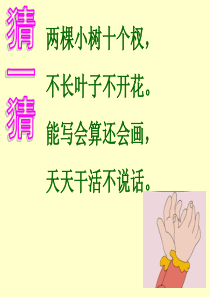 2017部编版一年级《画》课件新