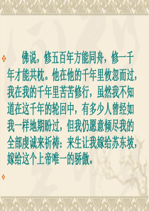 苏轼《定风波》(公开课)