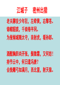 苏轼《念奴娇 赤壁怀古》PPT课件