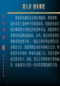 公司理财 第九章