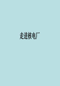 核电厂概况