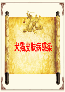 犬猫皮肤病感染-ljh-1