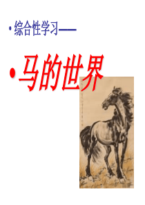 综合性学习――马的世界
