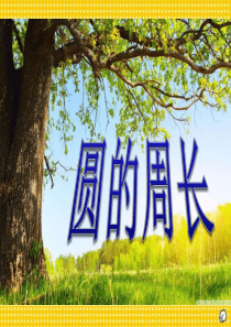 2015人教版六年级数学上册《圆的周长》PPT课件