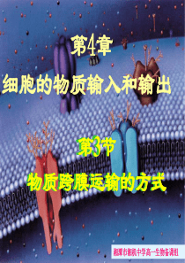 物质跨膜运输的方式上课正稿ppt
