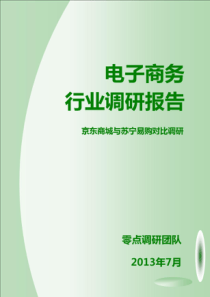 零点团队电商调研报告完本