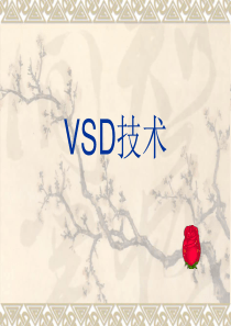 《VSD技术》PPT课件-PPT精品文档