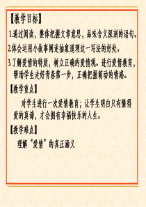 8[1].《致女儿的信》课件