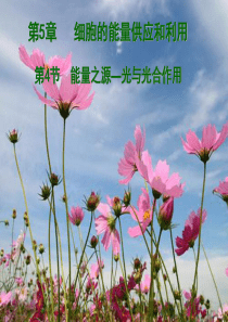 高一生物必修1 能量之源光与光合作用 课件