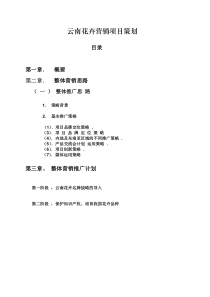 云南花卉业营销策划方案
