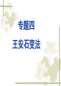 王安石变法[ppt
