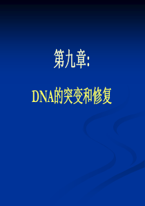 小徐的分生危机第三弹-dna的突变和修复