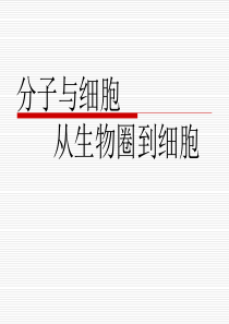高中生物必修一第一章第一节从生物圈到细胞