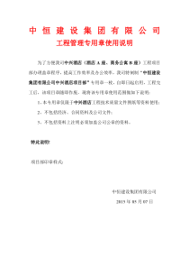 项目章启用函