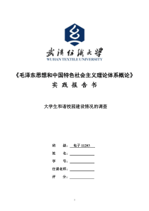 毛概社会实践和谐校园建设