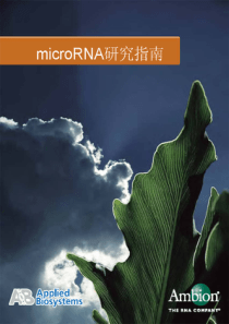 [Ambion]microRNA研究指南[创新技巧]