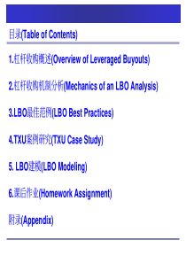[Citigroup] 杠杆收购内部培训材料