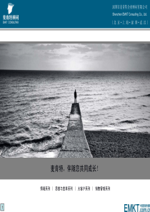 [EMKT]企业简介-麦肯特