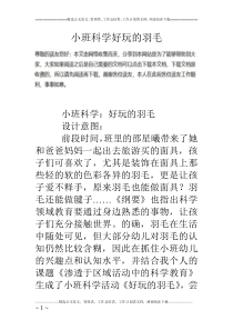 小班科学好玩的羽毛