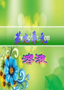 初三化学《溶液》(