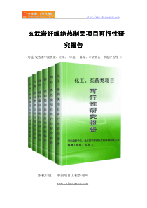 玄武岩纤维绝热制品项目可行性研究报告(专业经典案例)