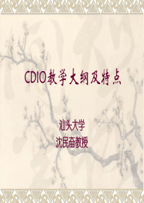 CDIO教学大纲及特点