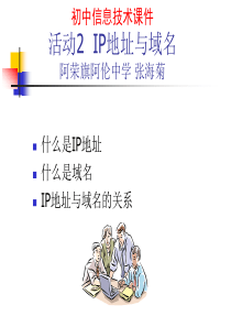 IP地址与域名(课件)阿伦中学