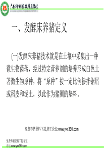 发酵床养猪