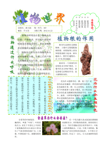 植物世界小报