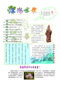 植物世界小报[1]