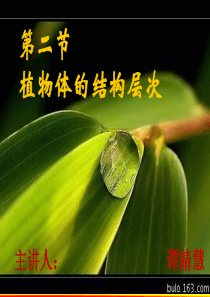 植物体的结构层次课件