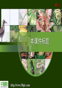 生物教学课件PPT模板