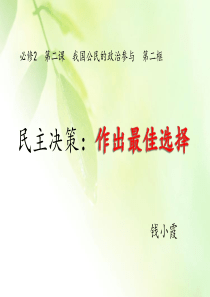 民主决策：作出最佳选择