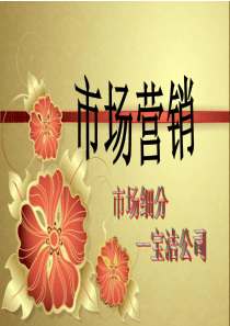 宝洁公司市场细分案例分析-2