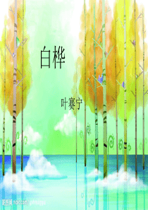 《白桦》ppt课件