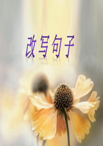 改-写-句-子