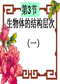 生物体的结构层次细胞分裂、生长和分化