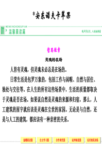 2013-2014学年高二语文同步课件：安东诺夫卡苹果(新人教版选修(外国小说欣赏))