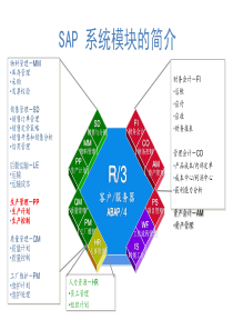 SAP基本介绍