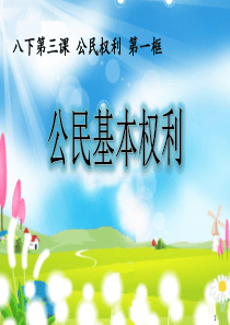 人教版《道德与法治》八年级下册3.1-公民基本权利课件-(共31张PPT)