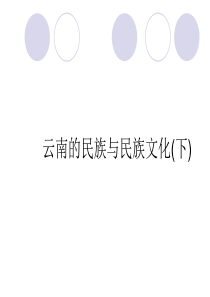 云南民族文化(下)剖析