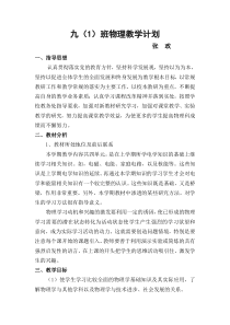 九年级物理下册教学计划