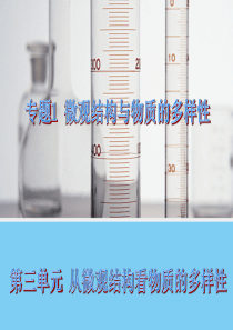 从微观结构看物质的多样性(苏教版必修2)课件