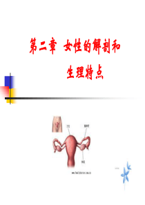 中医妇科学总论2