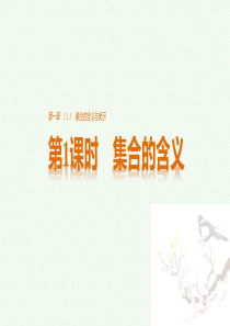 2016_2017学年高中数学第1章集合与函数概念1.1.1集合的含义与表示第1课时集合的含义课件新