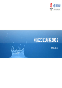 2011年工作总结及2012年工作计划(模版)