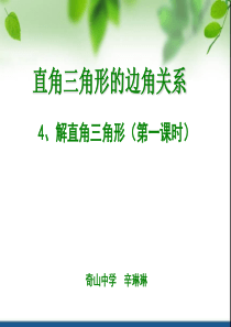 鲁教版 解直角三角形 第一课时